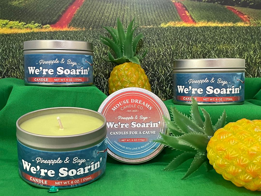 We're Soarin' - Candle