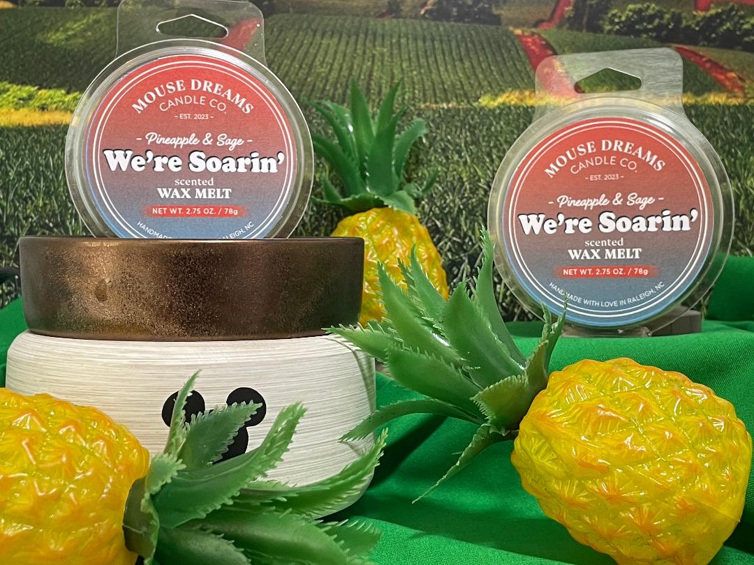 We're Soarin' - Wax Melt