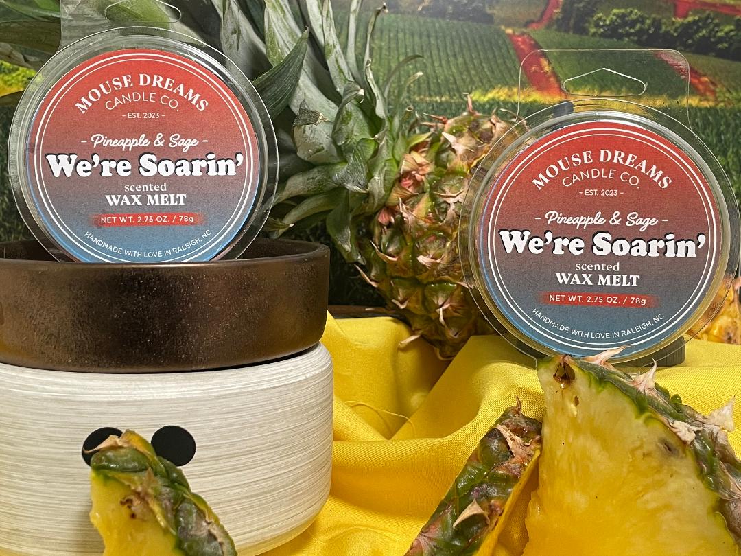 We're Soarin' - Wax Melt