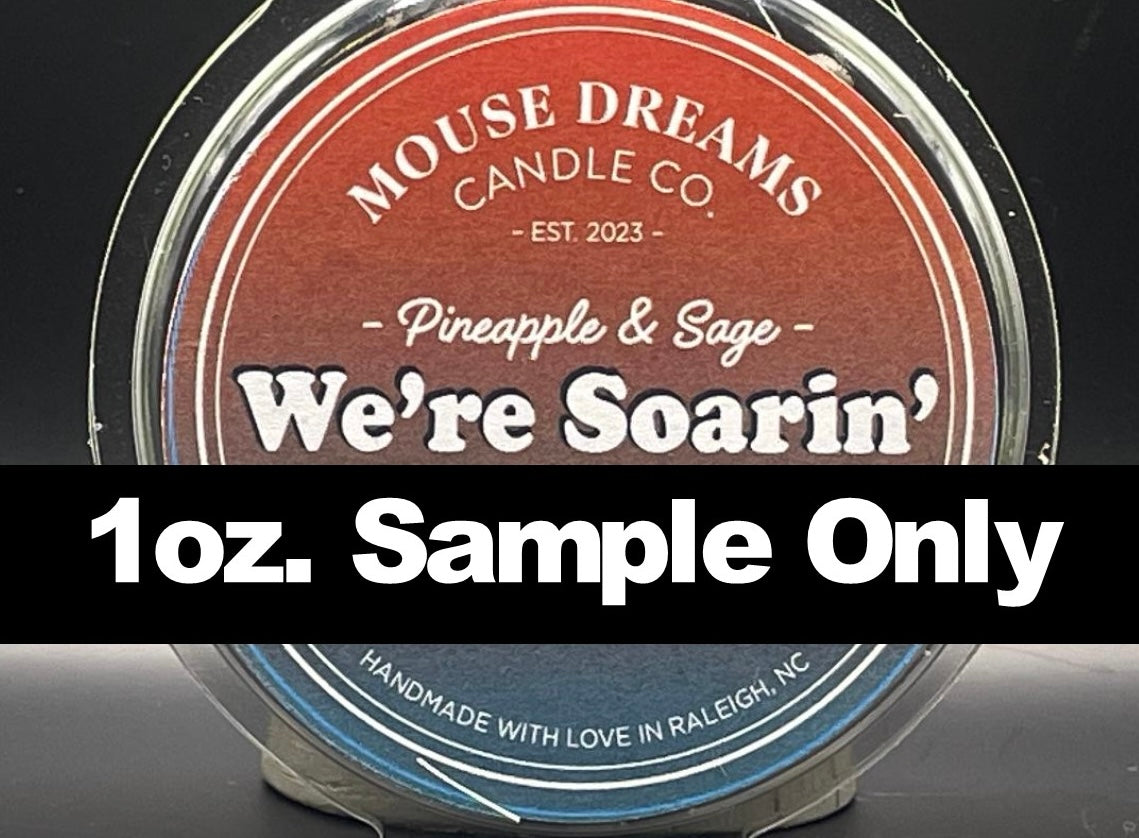 We're Soarin' - Sample